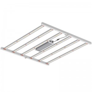 800W 4*4*4 pies Factura de iluminación horticultural de 4*4*4*4*